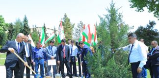 «ДАРАХТИ ДӮСТӢ» – РАМЗИ ҲАМКОРИҲОИ ИЛМИЮ ТАЪЛИМӢ